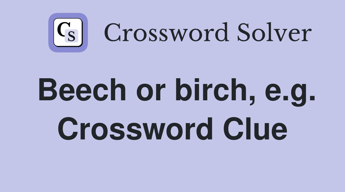Beech or birch, e.g. Crossword Clue