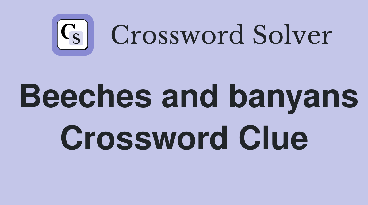 Beeches and banyans Crossword Clue