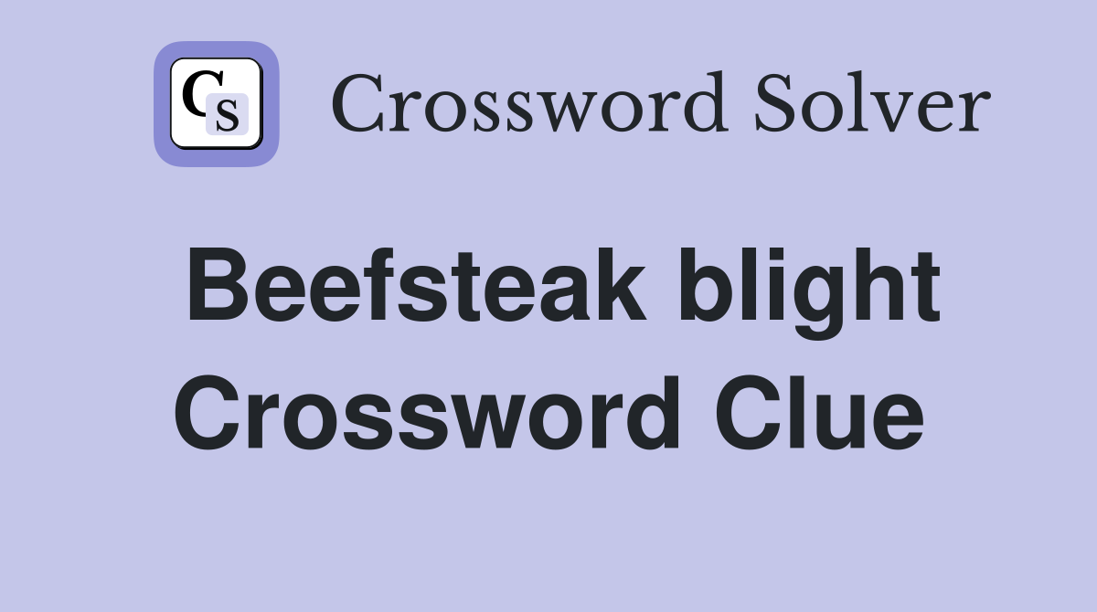 Beefsteak blight Crossword Clue