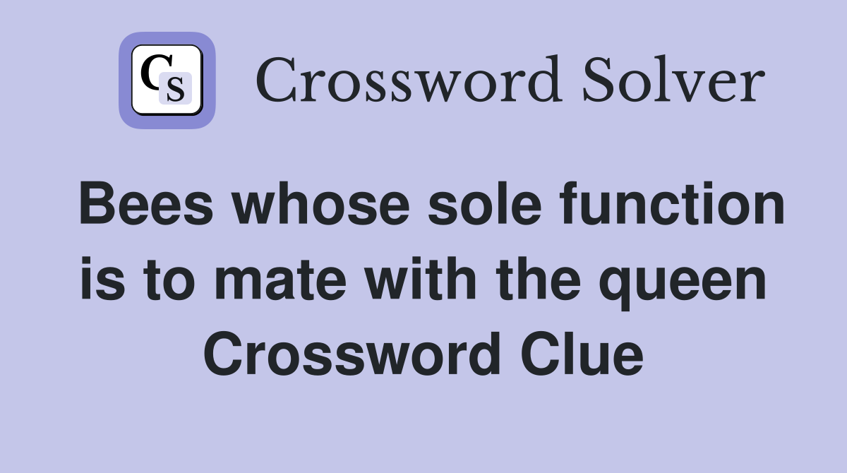 Bees whose sole function is to mate with the queen Crossword Clue