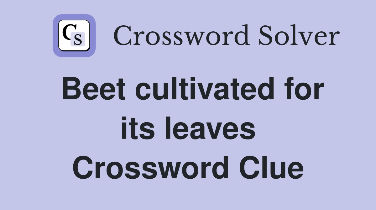 Beet cultivated for its leaves Crossword Clue
