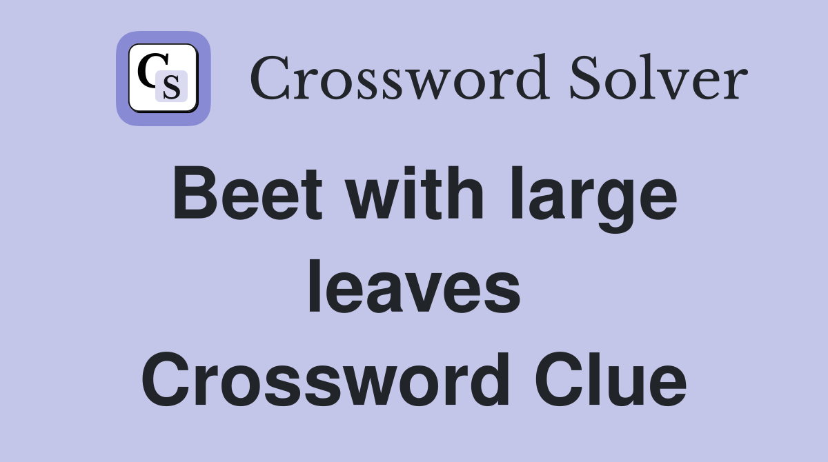 Beet with large leaves Crossword Clue