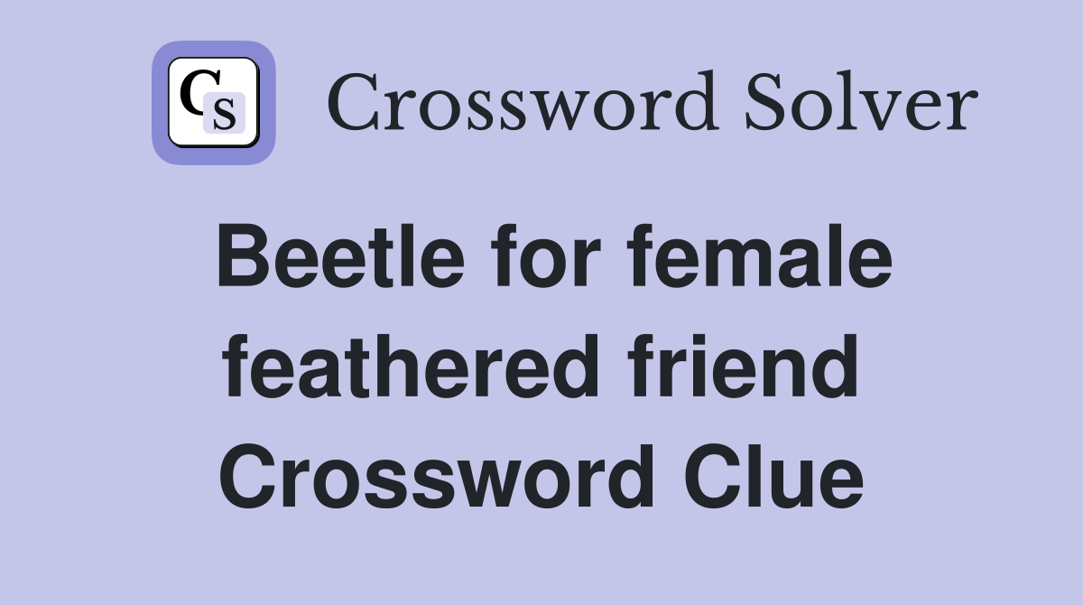 Beetle for female feathered friend Crossword Clue