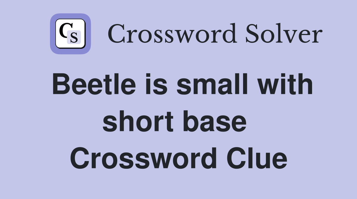 Beetle is small with short base  Crossword Clue