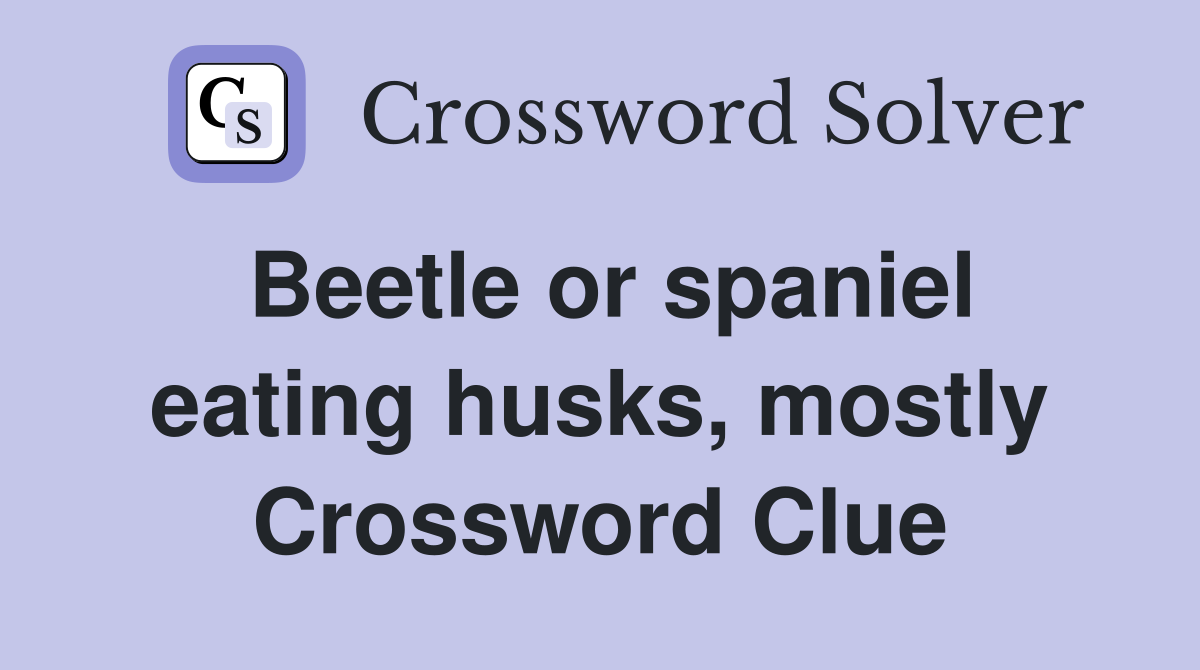 Beetle or spaniel eating husks, mostly Crossword Clue