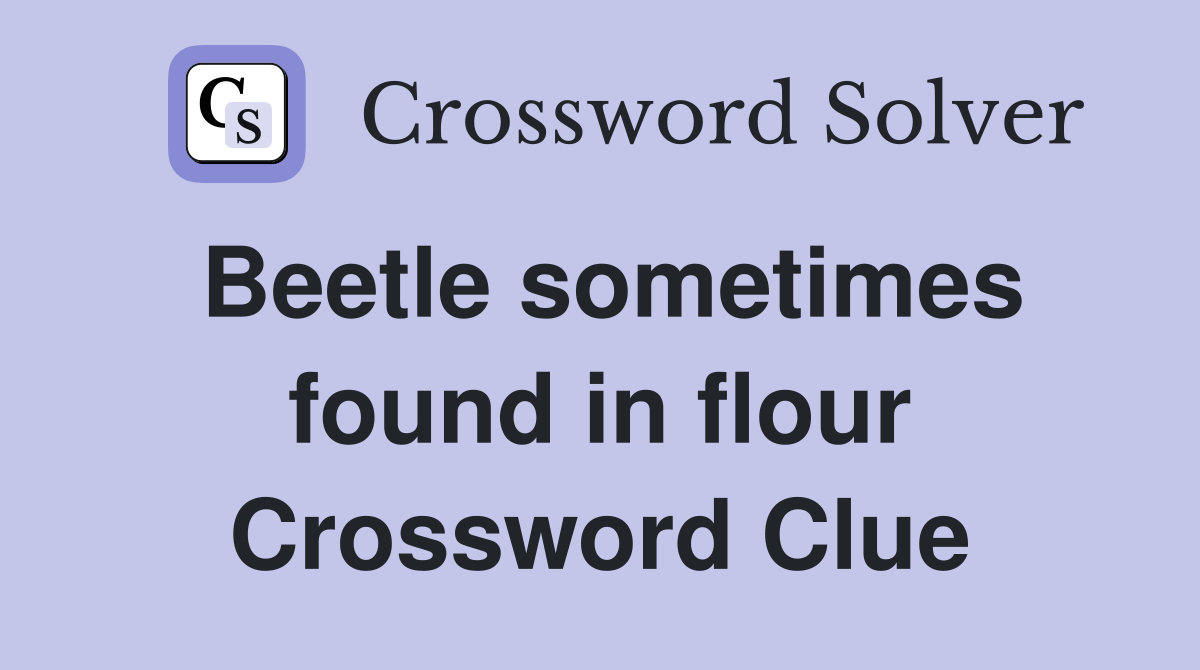 Beetle sometimes found in flour Crossword Clue
