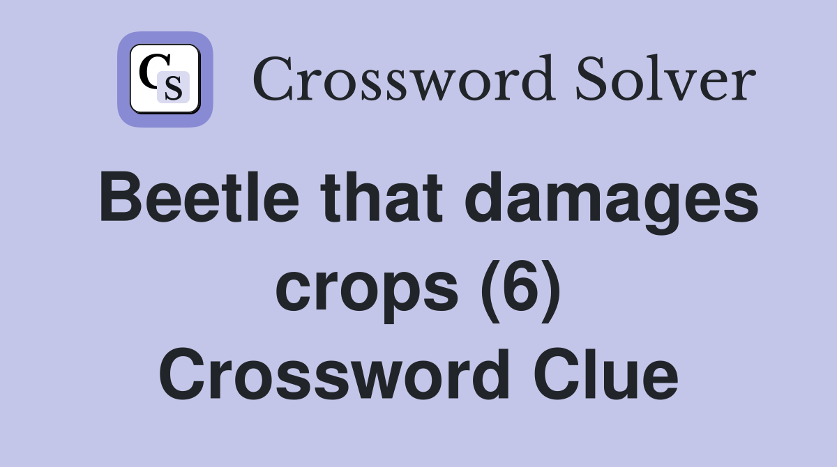 Beetle that damages crops (6) Crossword Clue