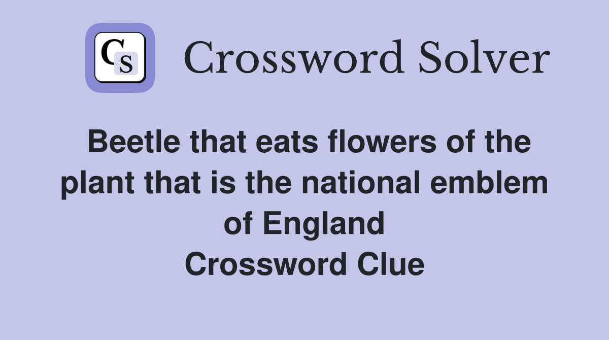 Beetle that eats flowers of the plant that is the national emblem of England Crossword Clue