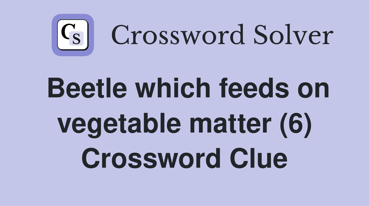 Beetle which feeds on vegetable matter (6) Crossword Clue