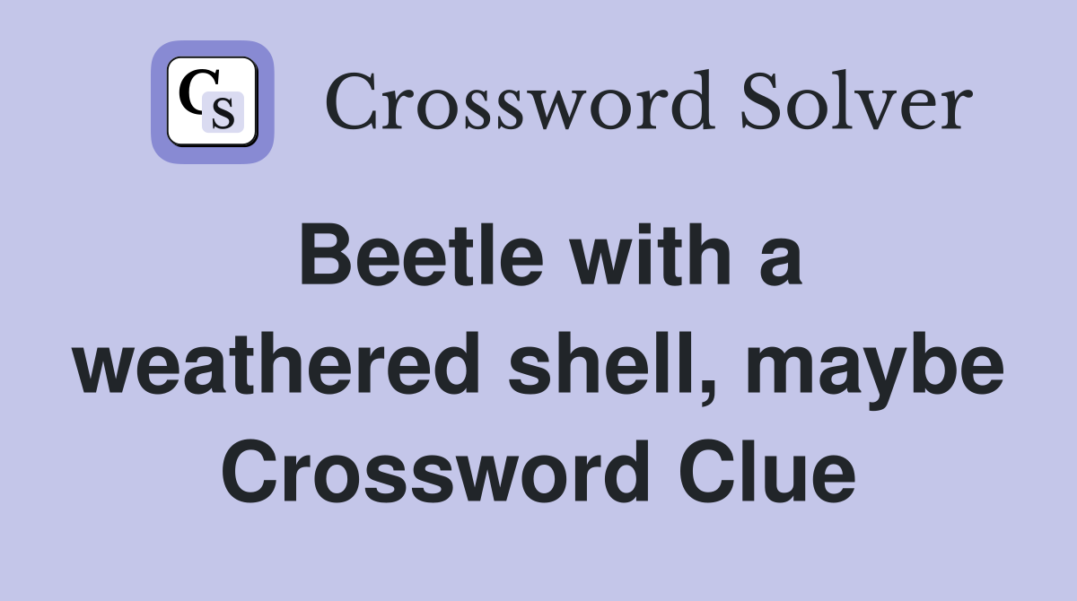 Beetle with a weathered shell, maybe Crossword Clue