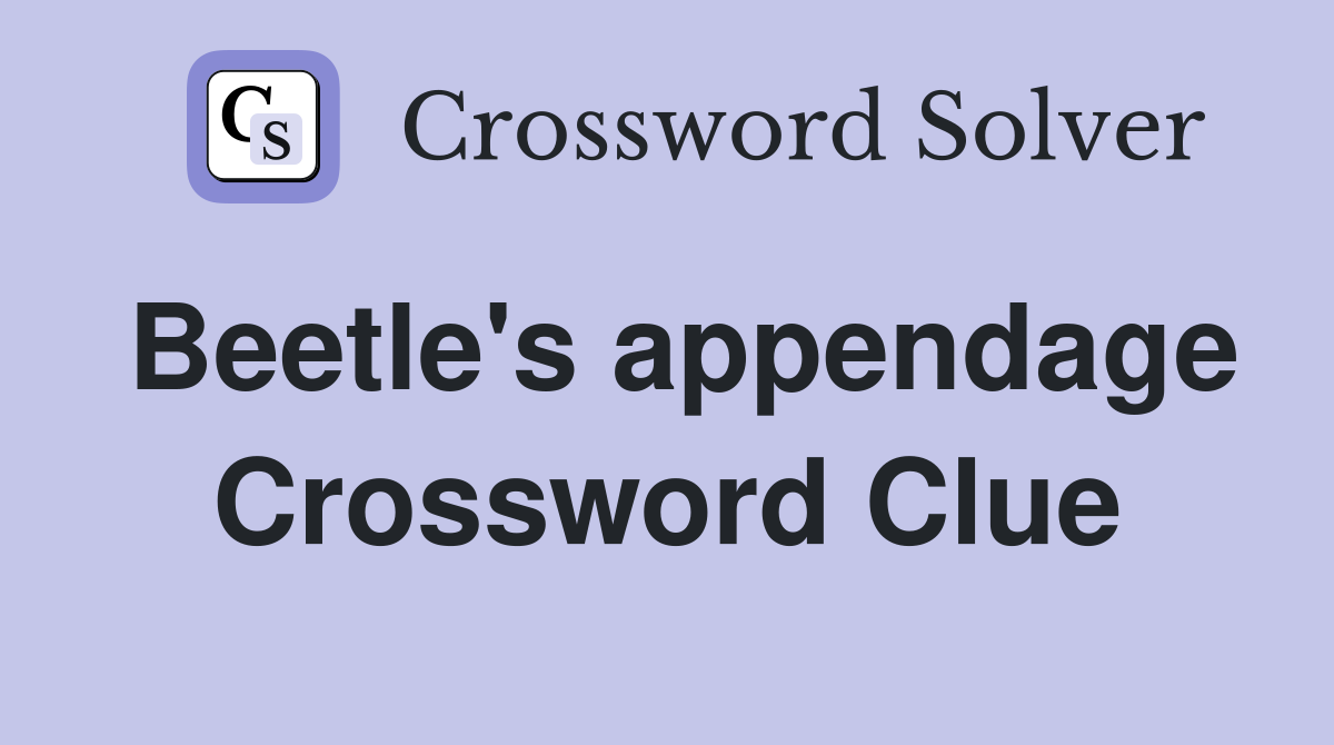 Beetle's appendage Crossword Clue