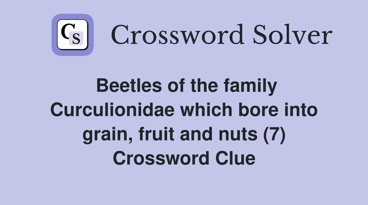 Beetles of the family Curculionidae which bore into grain, fruit and nuts (7) Crossword Clue