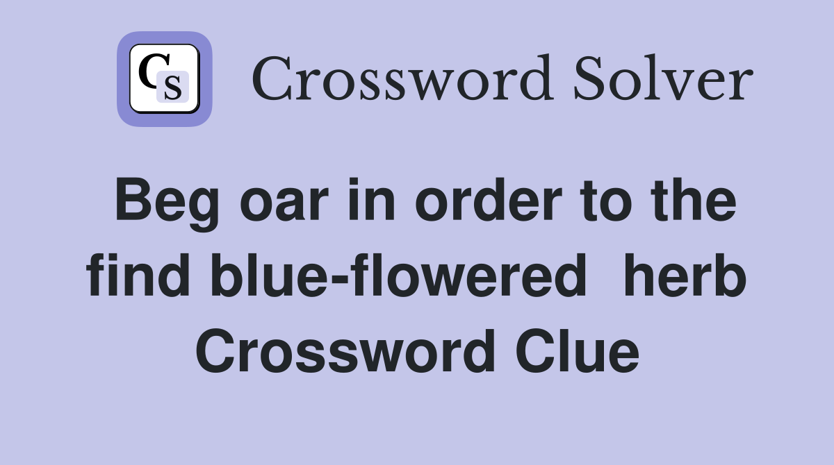 Beg oar in order to the find blue-flowered  herb Crossword Clue