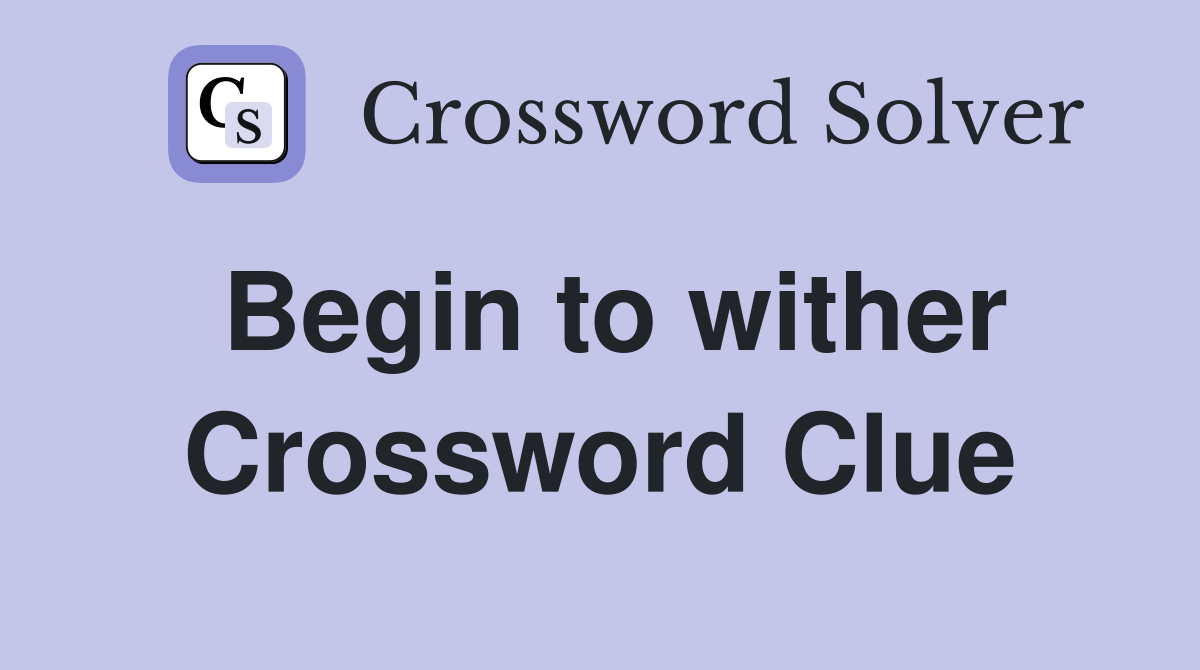 Begin to wither Crossword Clue