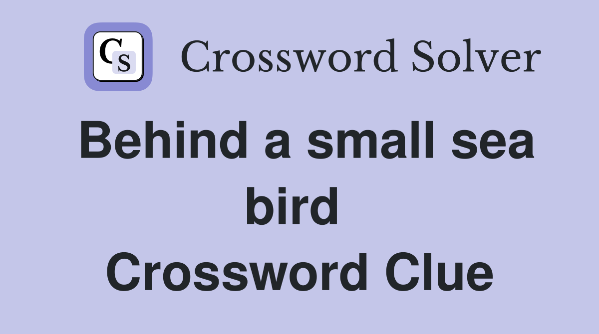 Behind a small sea bird  Crossword Clue