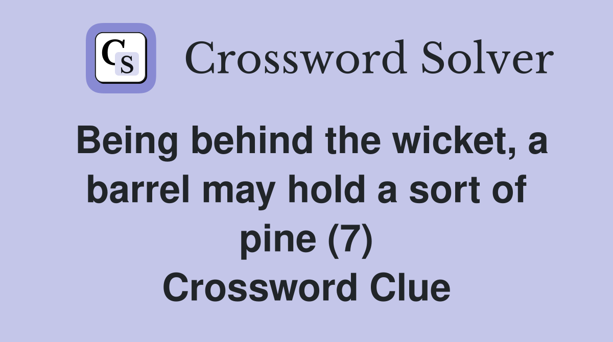 Being behind the wicket, a barrel may hold a sort of pine (7) Crossword Clue