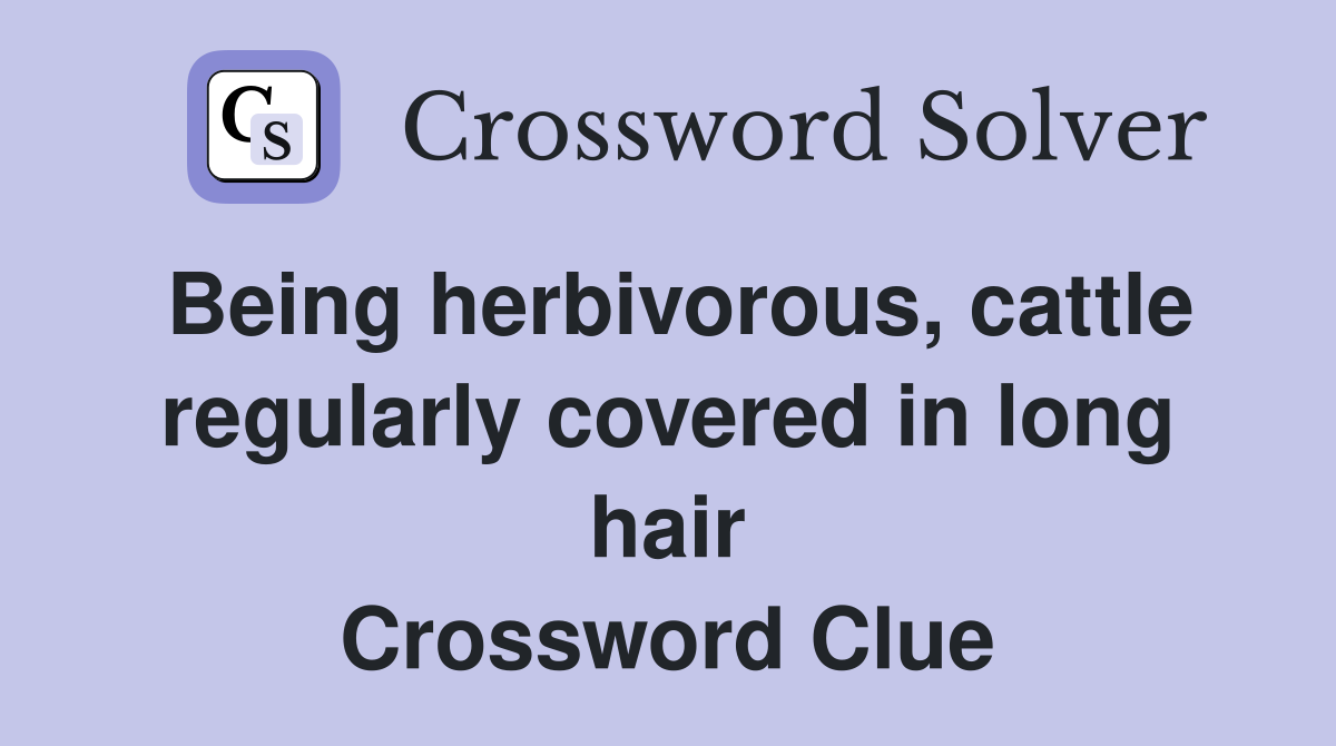 Being herbivorous, cattle regularly covered in long hair Crossword Clue