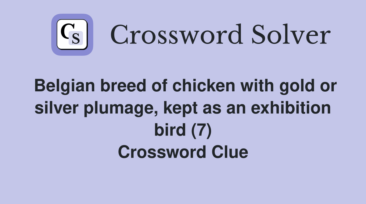 Belgian breed of chicken with gold or silver plumage, kept as an exhibition bird (7) Crossword Clue