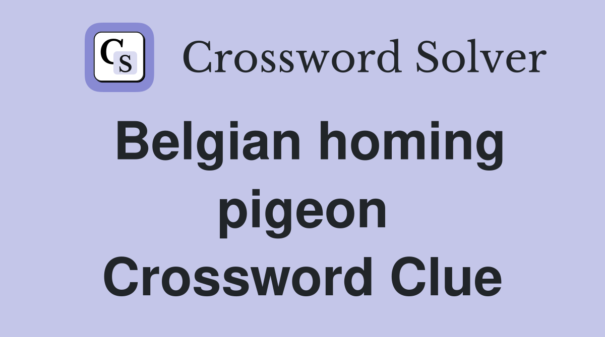 Belgian homing pigeon Crossword Clue