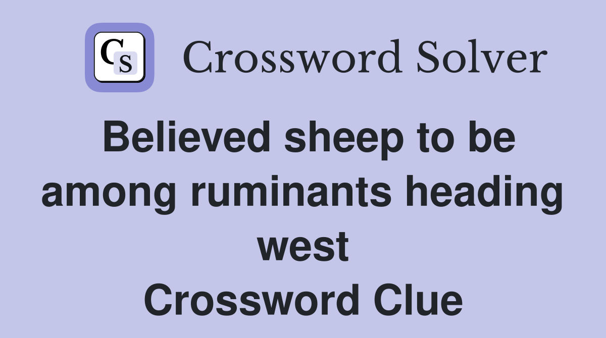 Believed sheep to be among ruminants heading west Crossword Clue