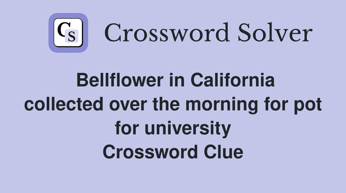 Bellflower in California collected over the morning for pot for university Crossword Clue