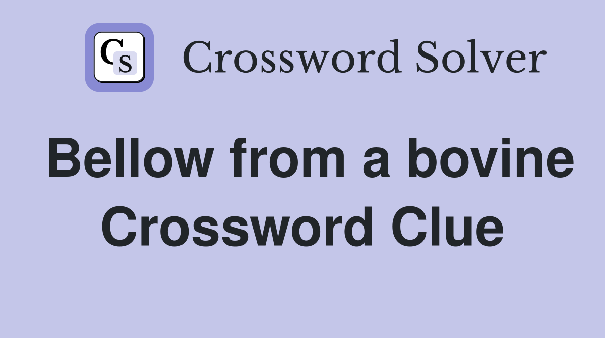 Bellow from a bovine Crossword Clue