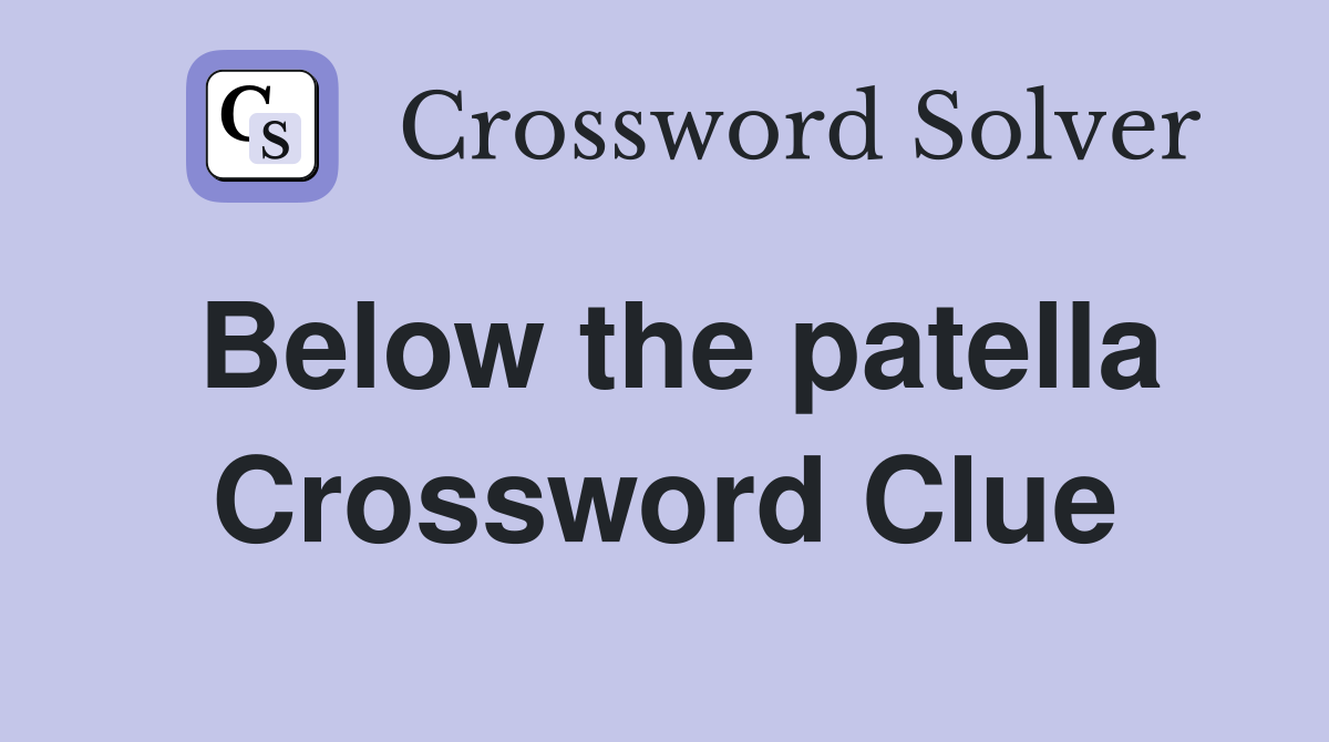 Below the patella Crossword Clue