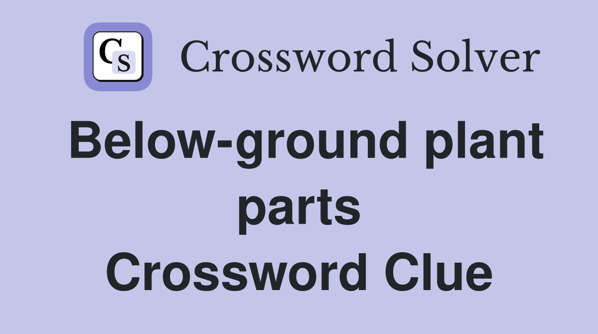 Below-ground plant parts Crossword Clue