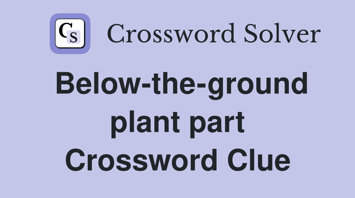 Below-the-ground plant part Crossword Clue