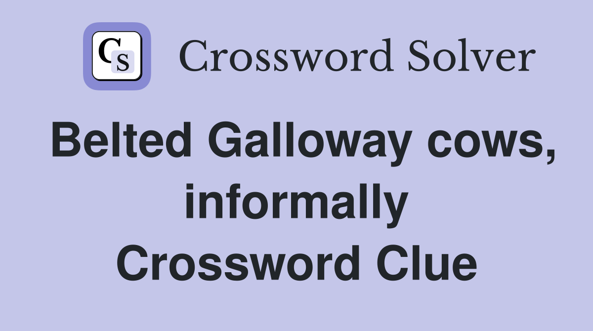 Belted Galloway cows, informally Crossword Clue