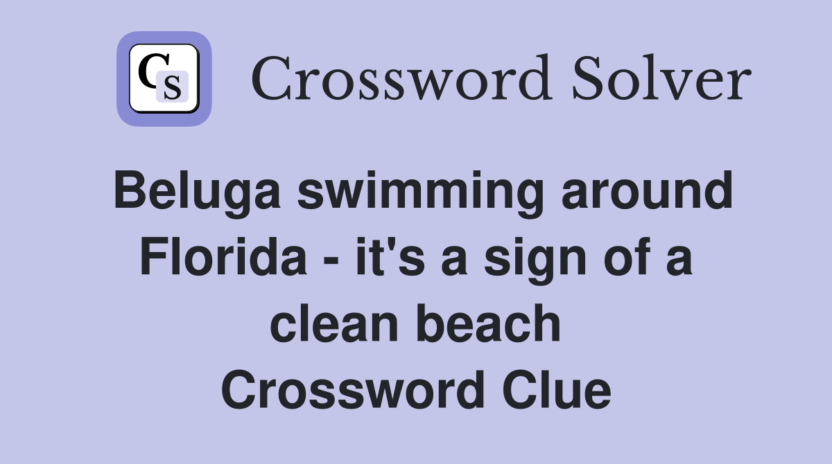Beluga swimming around Florida - it's a sign of a clean beach Crossword Clue