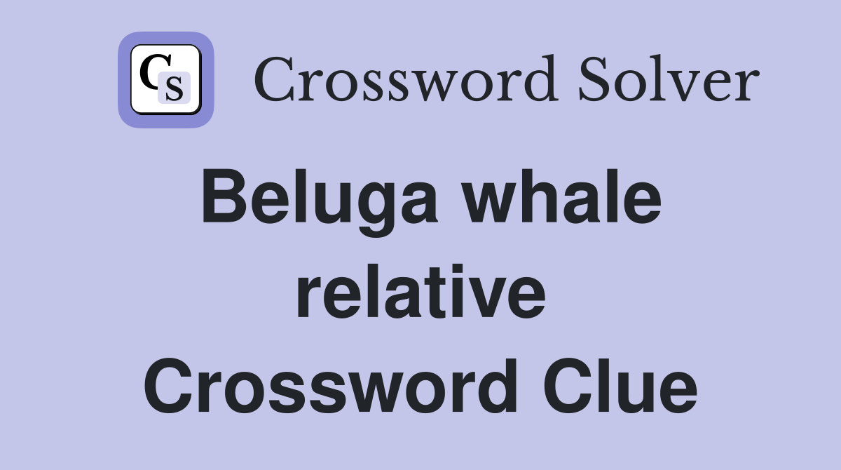 Beluga whale relative Crossword Clue