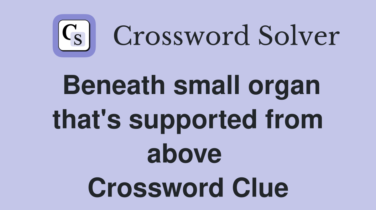 Beneath small organ that's supported from above  Crossword Clue