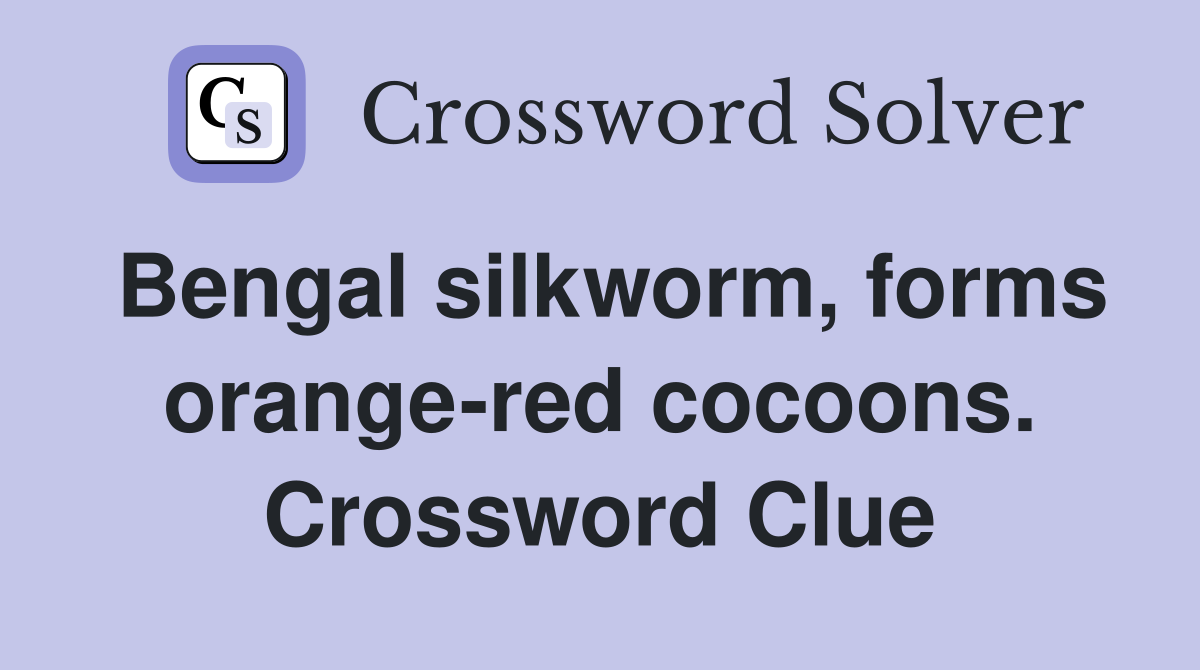 Bengal silkworm, forms orange-red cocoons. Crossword Clue