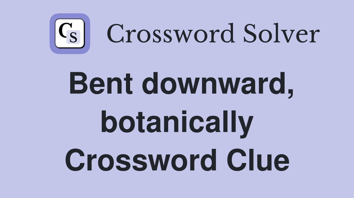 Bent downward, botanically Crossword Clue