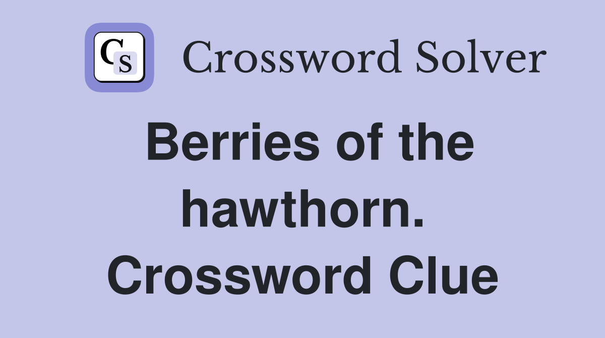 Berries of the hawthorn. Crossword Clue
