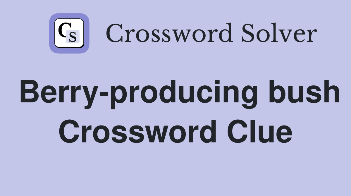 Berry-producing bush Crossword Clue