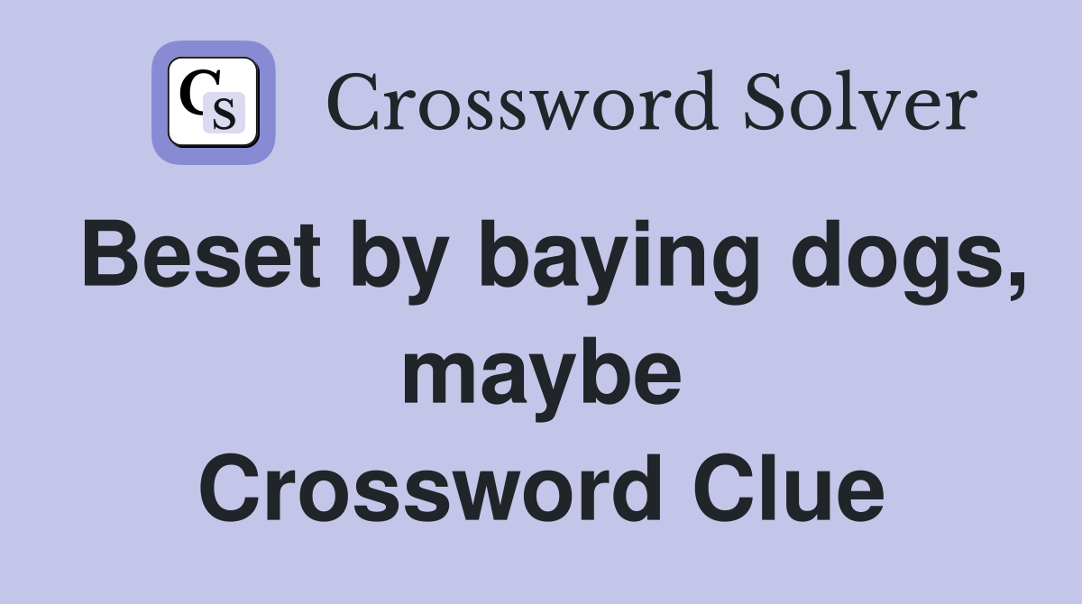 Beset by baying dogs, maybe Crossword Clue