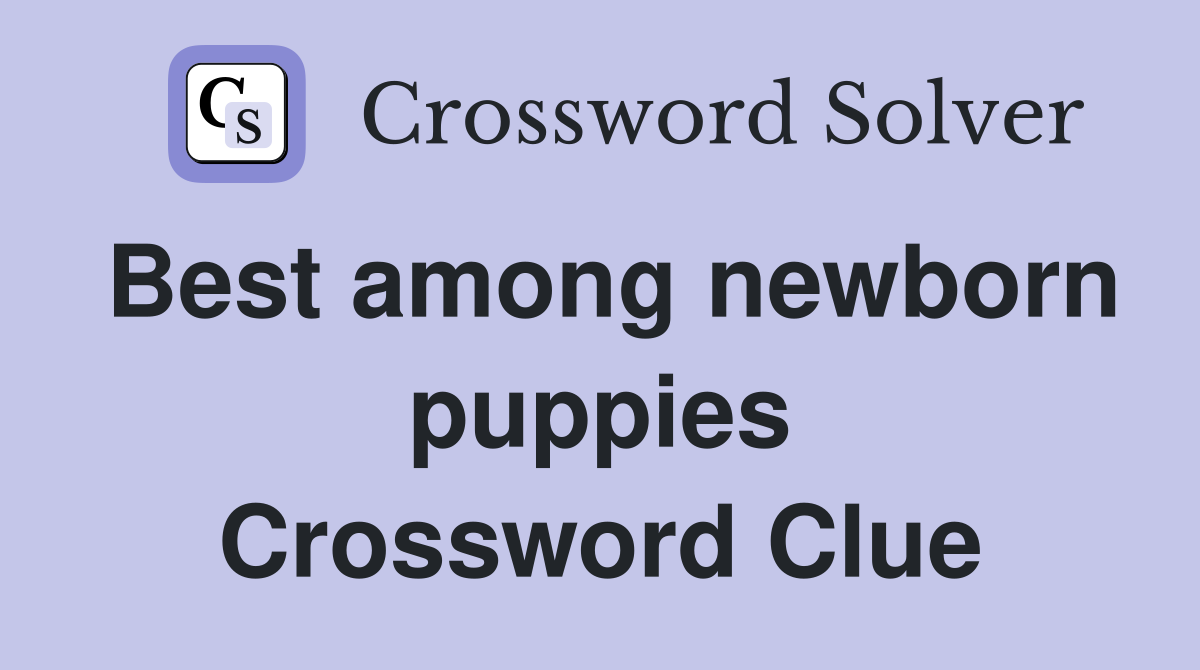 Best among newborn puppies Crossword Clue