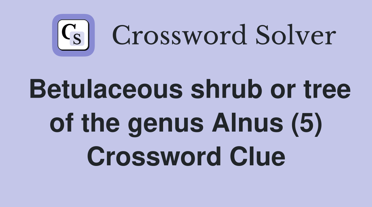 Betulaceous shrub or tree of the genus Alnus (5) Crossword Clue
