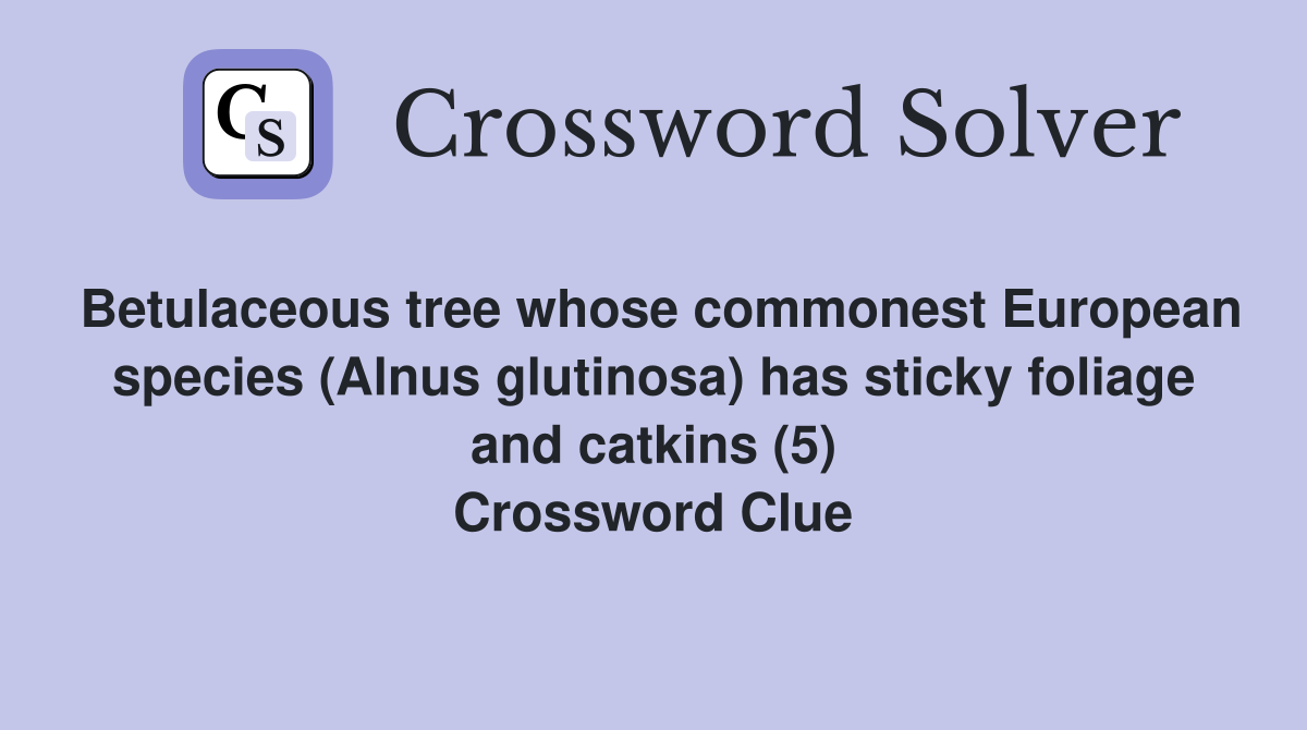 Betulaceous tree whose commonest European species (Alnus glutinosa) has sticky foliage and catkins (5) Crossword Clue