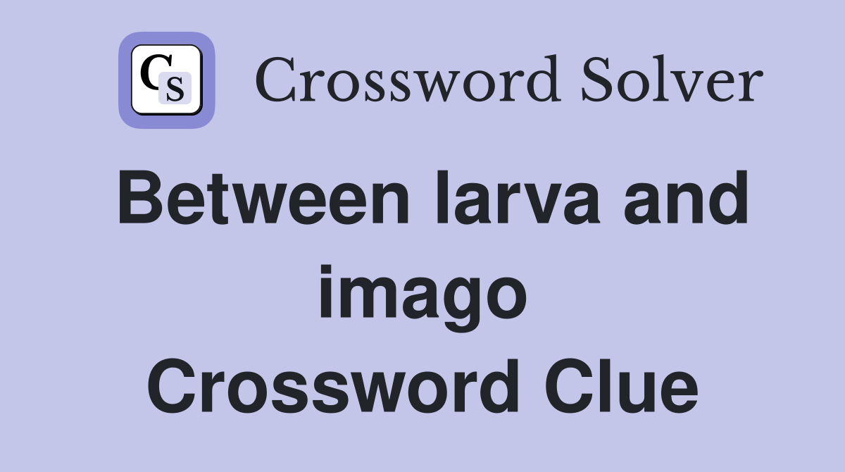 Between larva and imago Crossword Clue