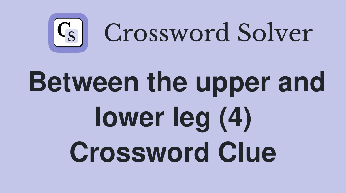 Between the upper and lower leg (4) Crossword Clue