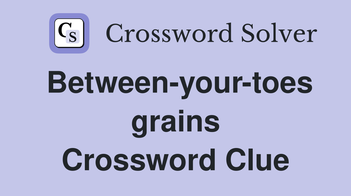 Between-your-toes grains Crossword Clue