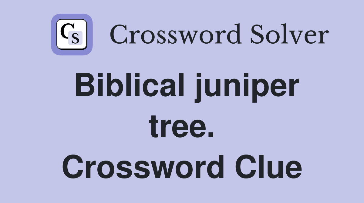 Biblical juniper tree. Crossword Clue