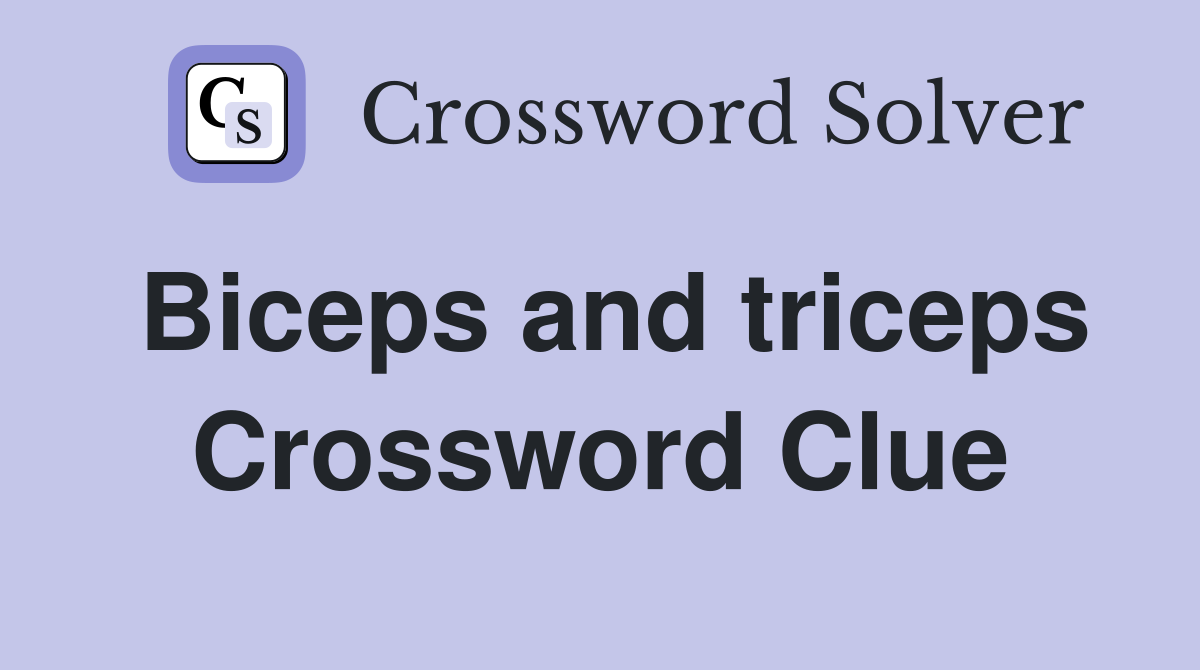 Biceps and triceps Crossword Clue