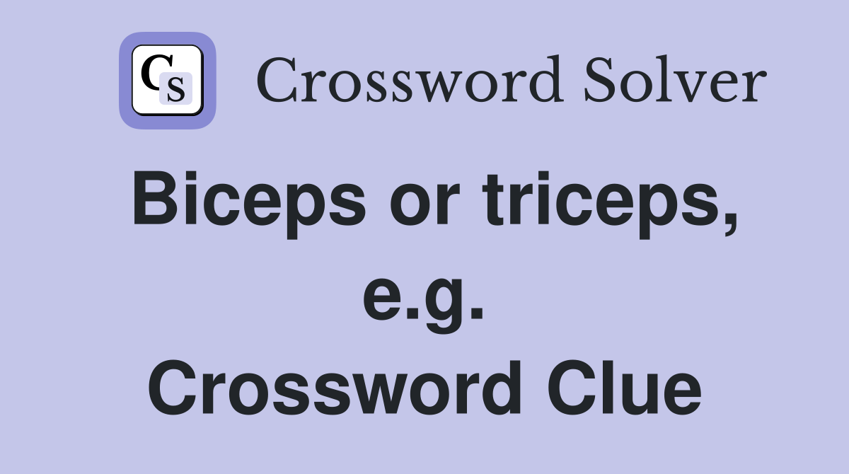 Biceps or triceps, e.g. Crossword Clue