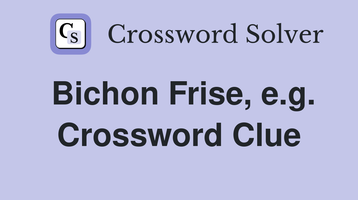 Bichon Frise, e.g. Crossword Clue