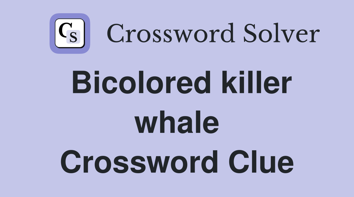 Bicolored killer whale Crossword Clue