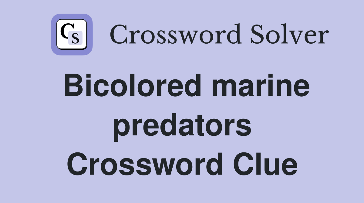 Bicolored marine predators Crossword Clue